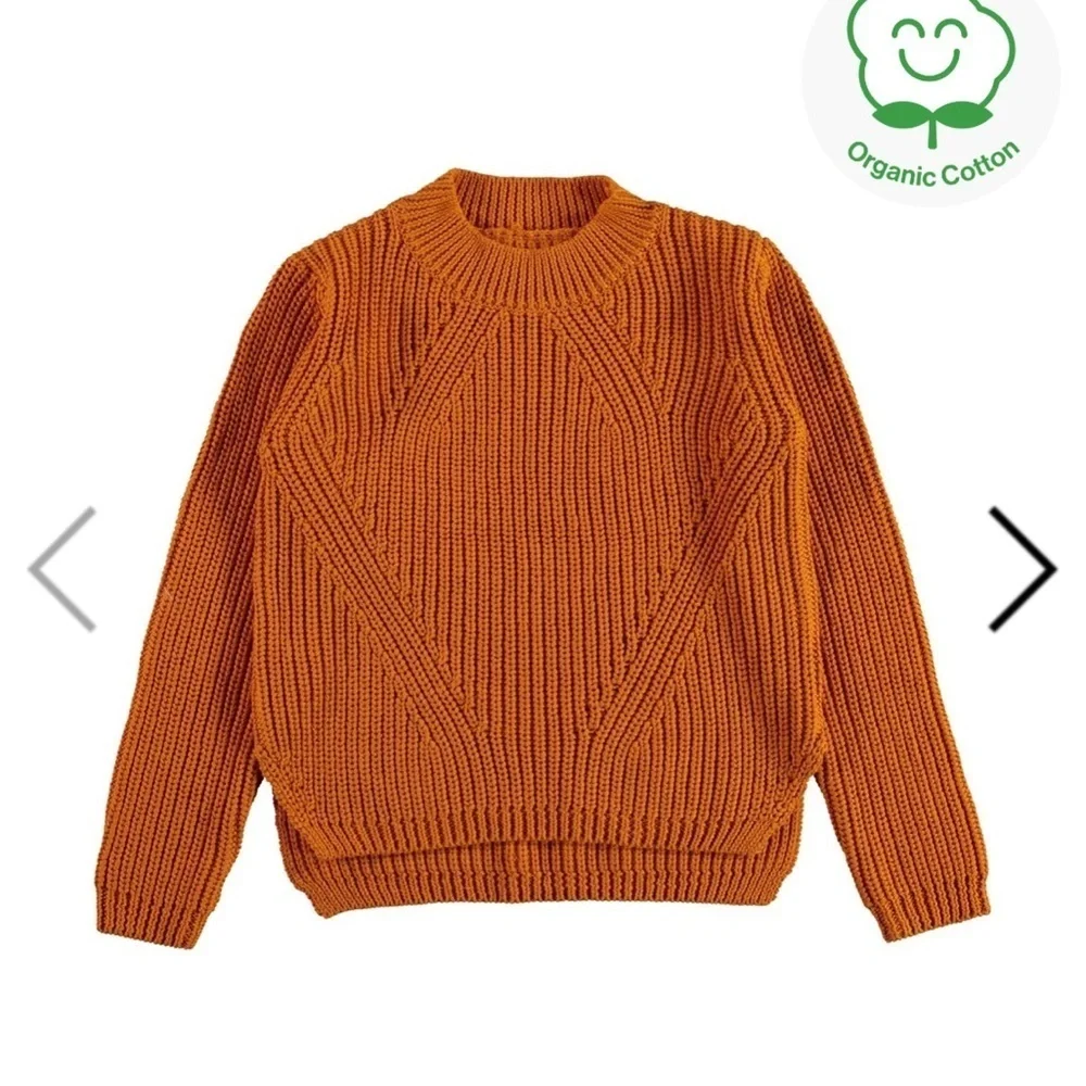 Molo Kids' Organic Cotton Sweater - Autumn brown  Euro 110/116 U.S. 5 to 6 years